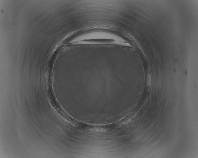 X0000081360444200702020144