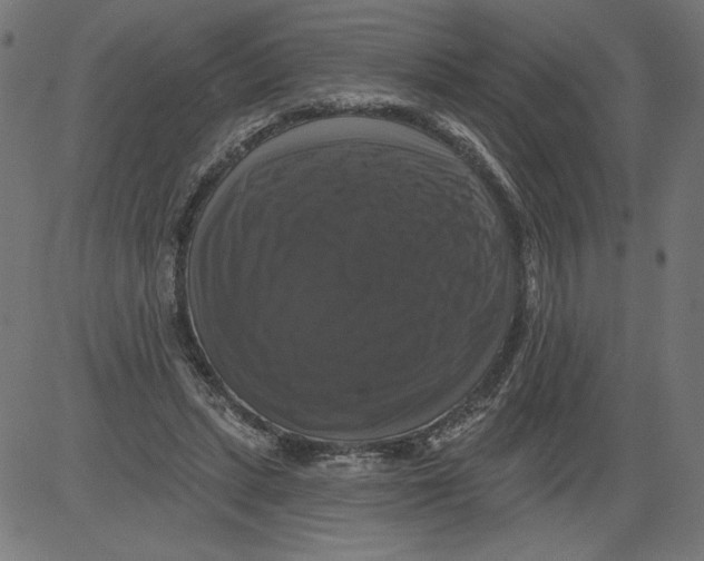 X0000081360447200702020144