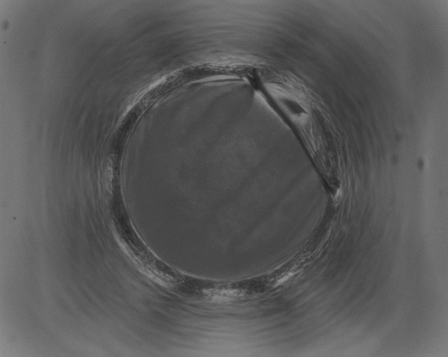 X0000081360448200702020144