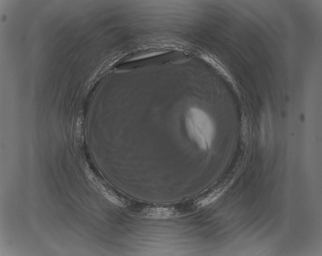 X0000081360449200702020144