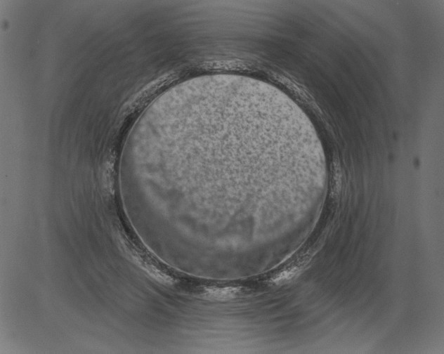 X0000081360450200702020144