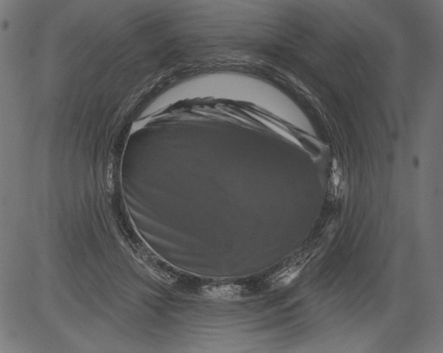 X0000081360452200702020144