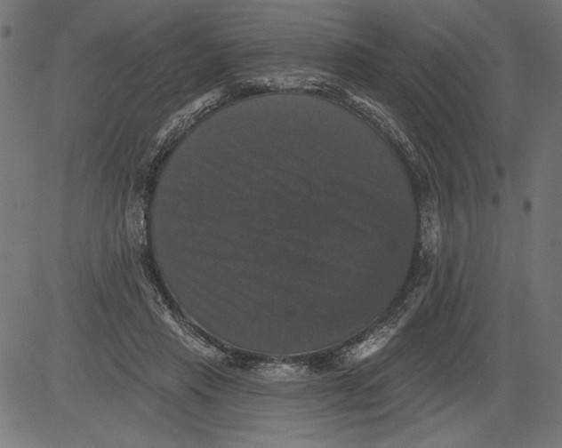 X0000081360453200702020144