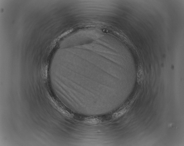 X0000081360454200702020144