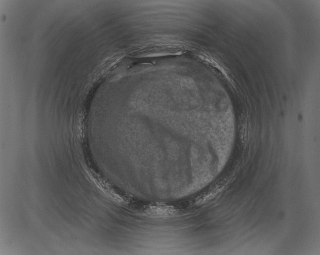 X0000081360455200702020144