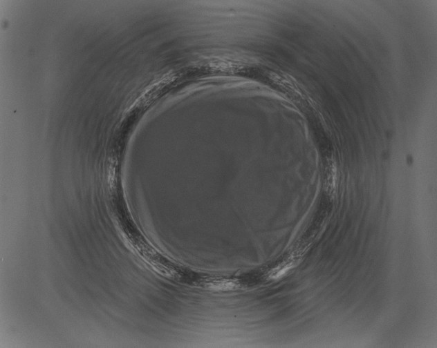 X0000081360456200702020144