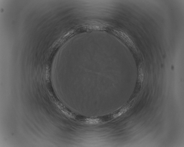 X0000081360457200702020144