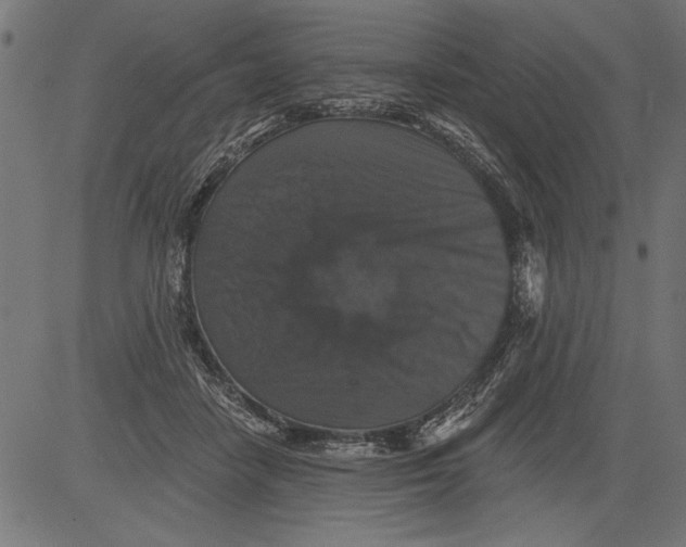 X0000081360458200702020144