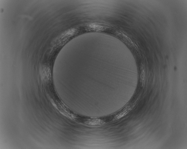 X0000081360459200702020144