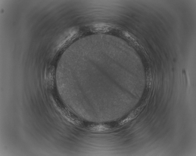 X0000081360460200702020144