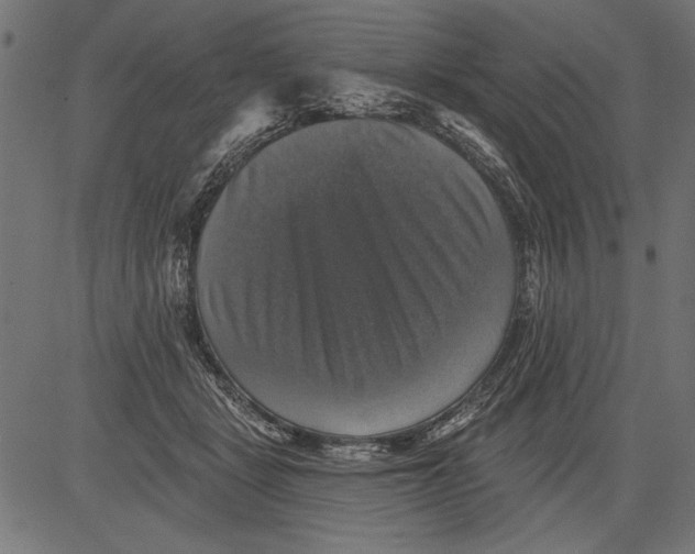 X0000081360461200702020144