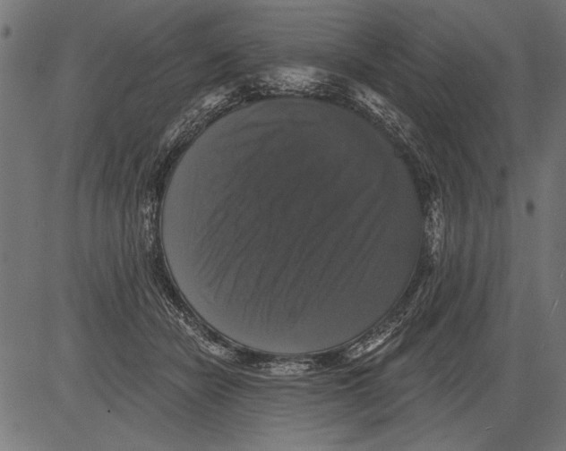 X0000081360462200702020144