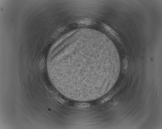 X0000081360463200702020144