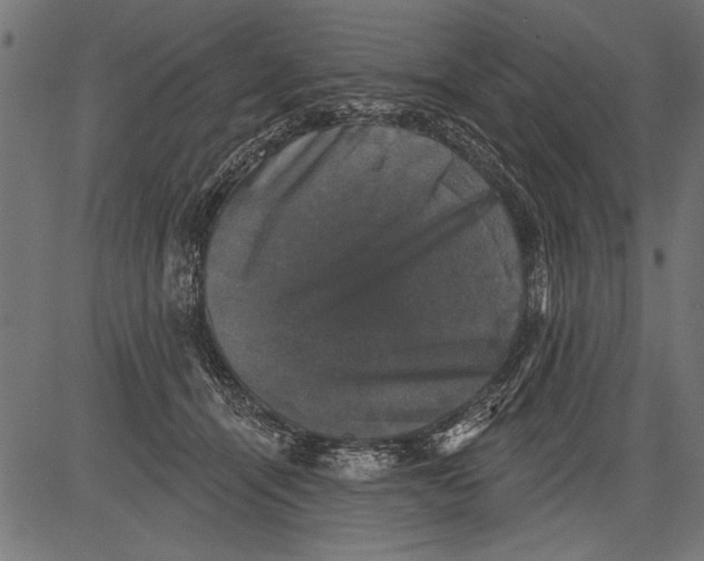 X0000081360464200702020144