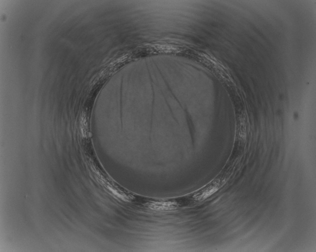 X0000081360465200702020144