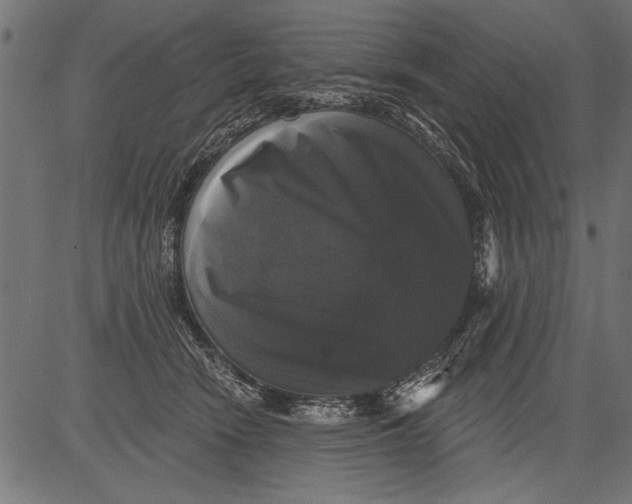 X0000081360466200702020144