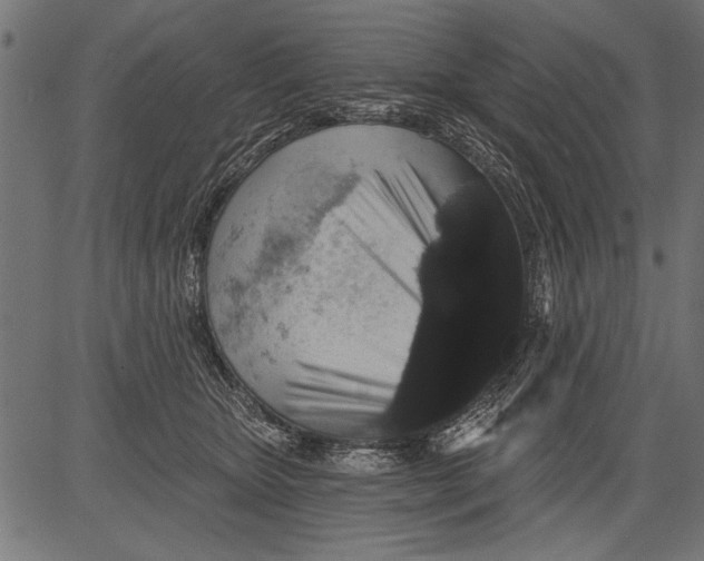 X0000081360467200702020144