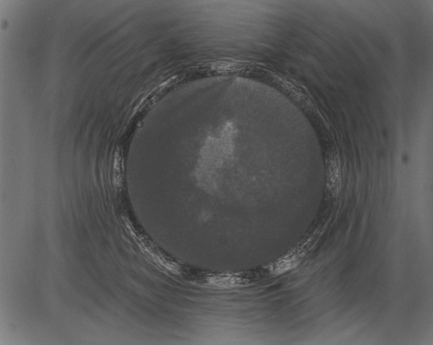 X0000081360470200702020144