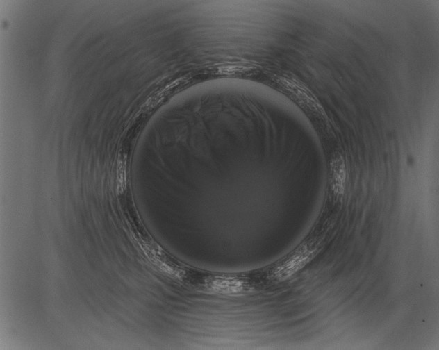 X0000081360471200702020144