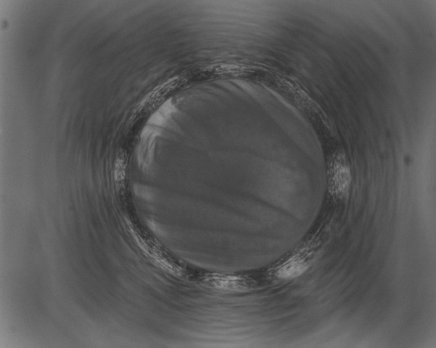 X0000081360472200702020144