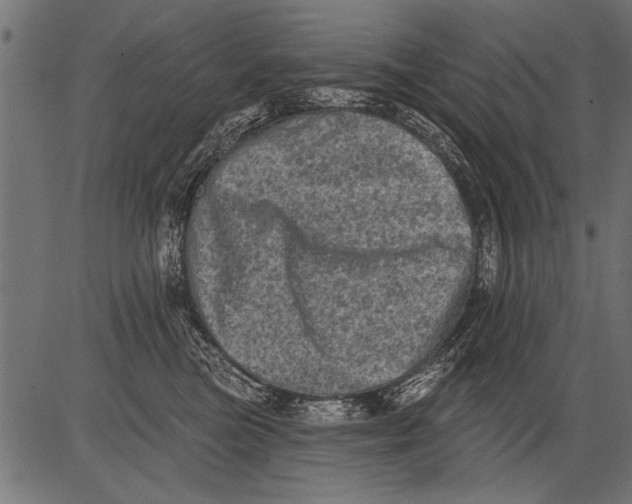 X0000081360473200702020144