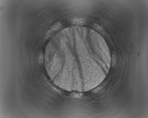 X0000081360474200702020144