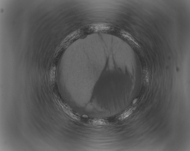 X0000081360475200702020144