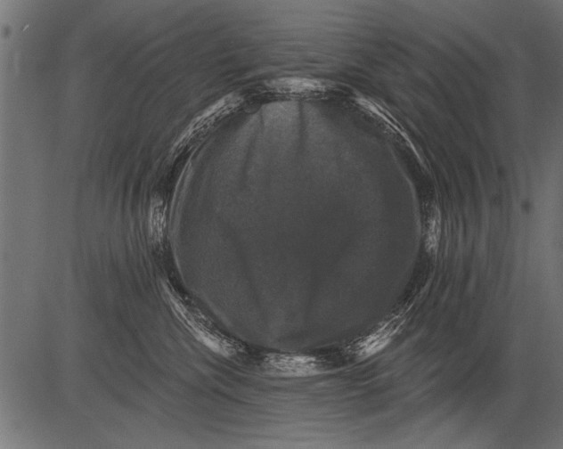 X0000081360476200702020144