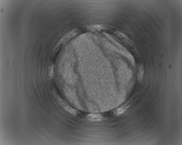 X0000081360477200702020145