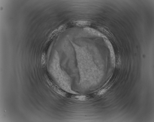 X0000081360478200702020145