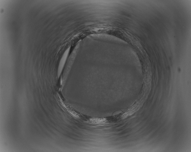 X0000081360480200702020145