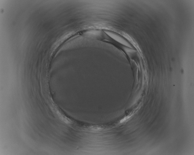 X0000081360481200702020144