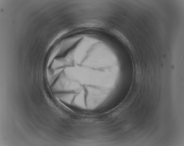 X0000081360482200702020144