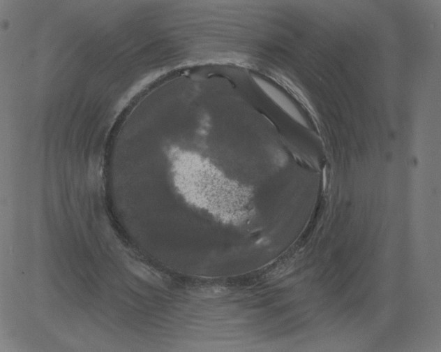 X0000081360483200702020144