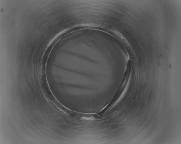 X0000081360484200702020144