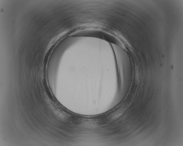 X0000081360486200702020144