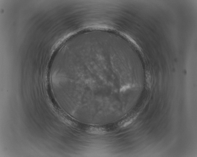 X0000081360487200702020144