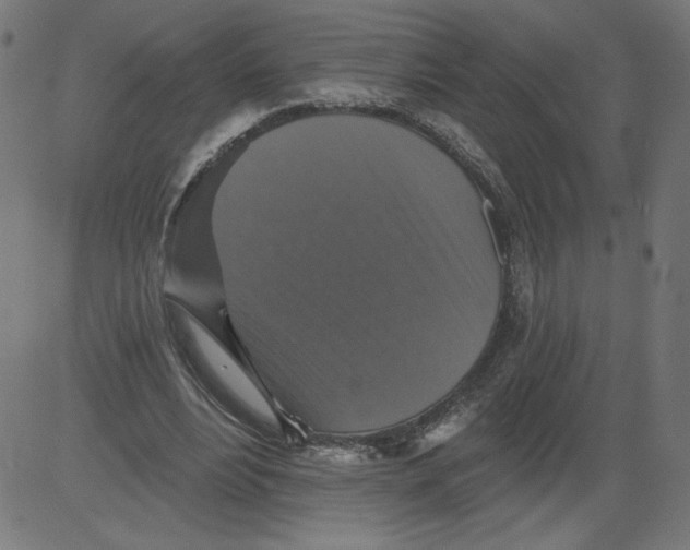 X0000081360488200702020144