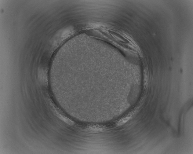 X0000081360489200702020144