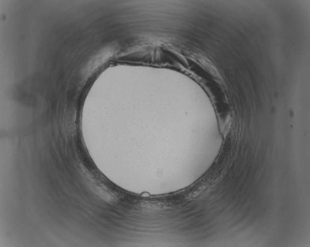 X0000081360490200702020144