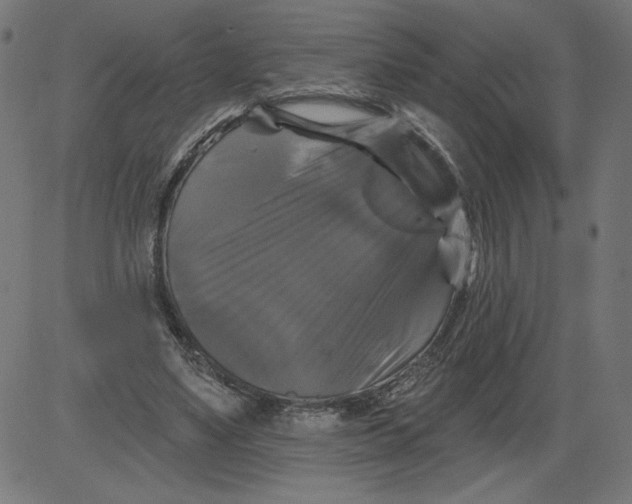 X0000081360491200702020144