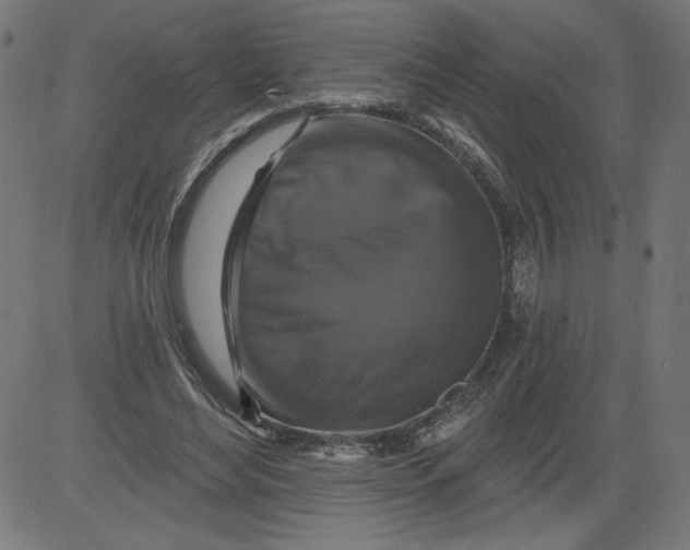 X0000081360492200702020144