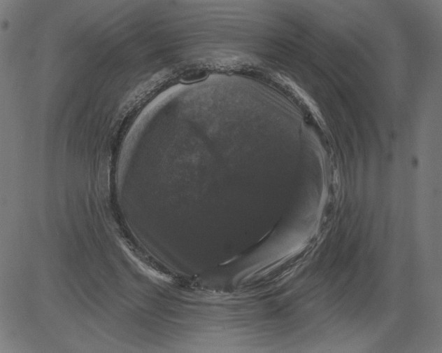 X0000081360493200702020144