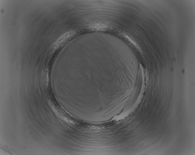 X0000081360494200702020144