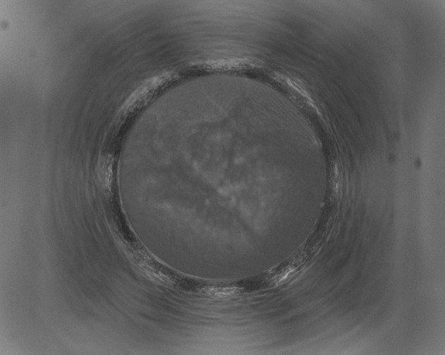 X0000081360495200702020144