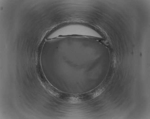 X0000081360496200702020144