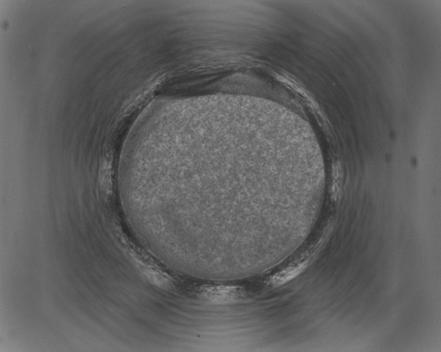 X0000081360497200702020144