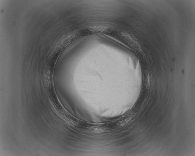 X0000081360498200702020143