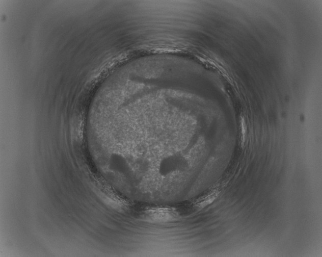 X0000081360499200702020143