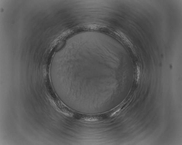 X0000081360500200702020143